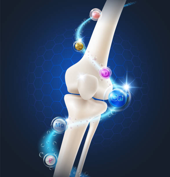 Bone & Calcium: Building Stronger Bones Every Day